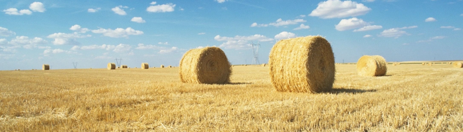 hay bales in a field | Counterweight Blue